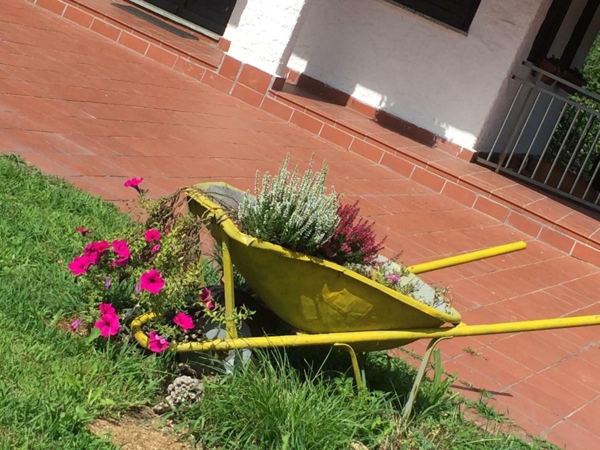 Progetto Vacanze Invorio Inferiore Kültér fotó